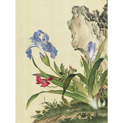 Castiglione Iris Blume Pflanze Gemälde großer Leinwand Kunstdruck