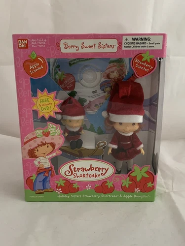 2003 Ban Dai RARE Strawberry Shortcake BERRY SWEET SISTERS & DVD - NEW Sealed