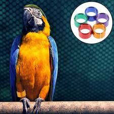 10 Pcs Poultry Leg Rings Dove Identification Band Bird Foot Clip