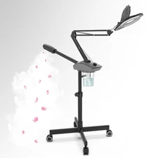 TASALON Professional 2-in-1 Facial Steamer, Ozone Face Steamer with 5X Magnif...