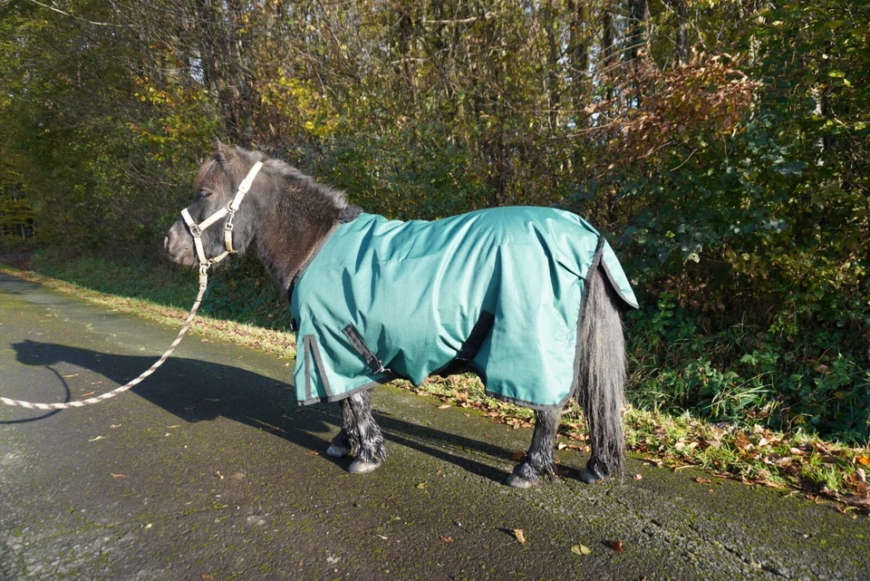 Regendecke 1200D 65, 75, 85, 95, 105   Shetty Outdoordecke - Bild 2 von 4