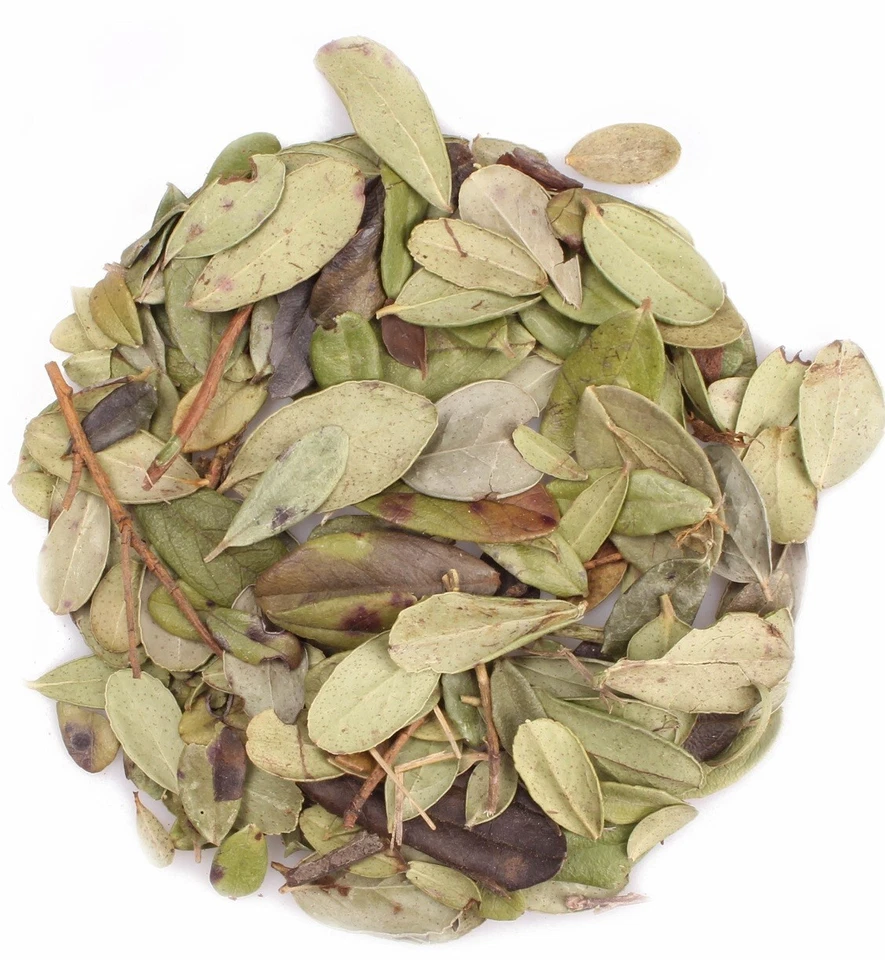 VITAL BODY LIMITED Cowberry Leaf-Vaccinium Vitis Idaea, Herbal Tea