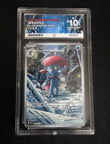 Ace Grading 10 Weavile 228/217 Illustration Rare Ascended Heroes 2026 EN