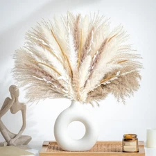 70PCS Natural Dried Pampas Grass Boho Home Decor Bouquet Phragmites Dried Flower