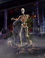 3 Ft LED Skelly Halloween Skeleton Decoration Lighted Indoor/Outdoor Display