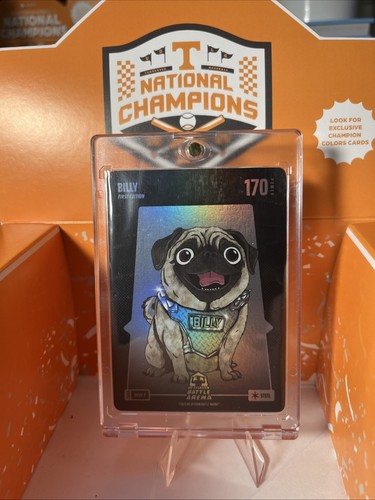 2024 Bo Jackson Battle Arena BILLY Steel Battlefoil #Billy-7 SSP Dog