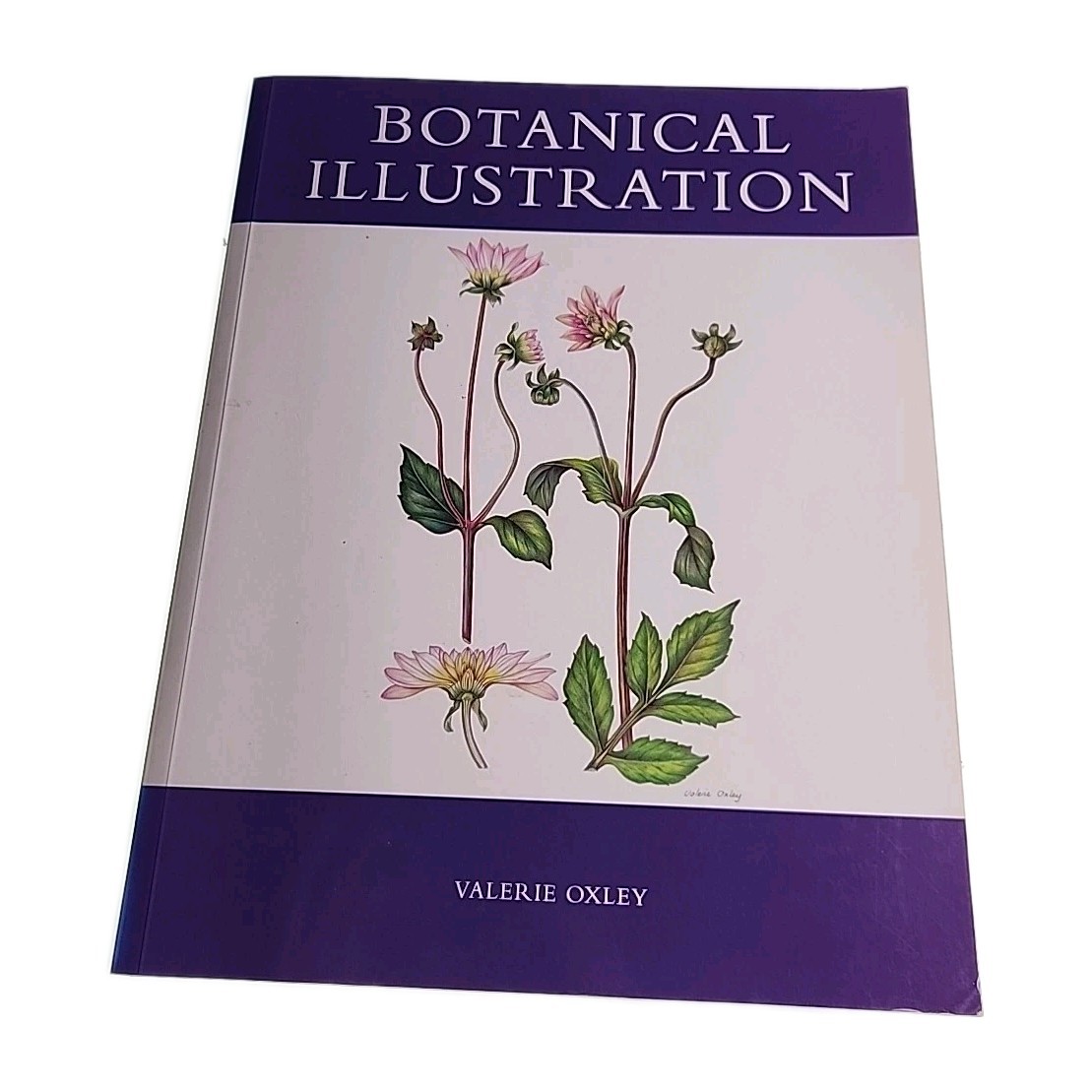 Botanical Illustration Valerie Oxley 2008 Paperback Book