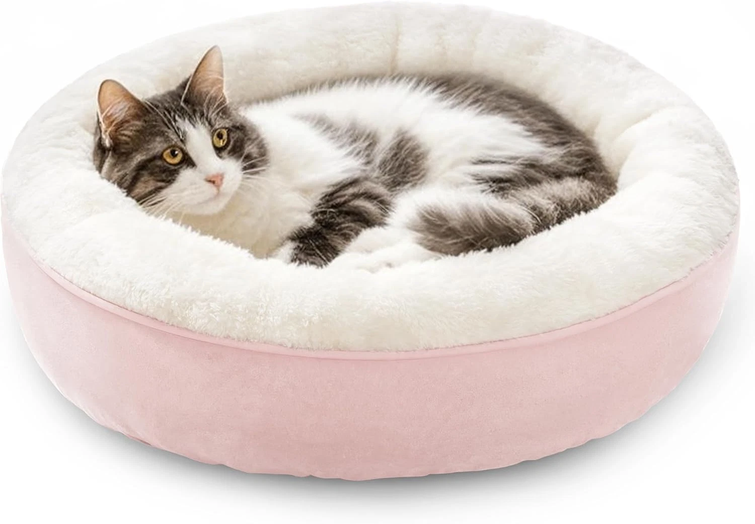 round Donut Cat and Dog Cushion Bed, 20In Pet Bed for Cats or Small Dogs, Anti-S