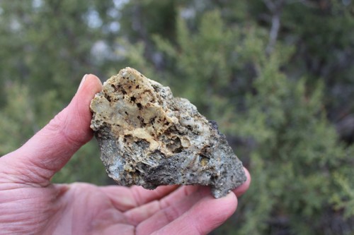 MINERAL GOLD ORE From Historic & Rare Site   -  PACIFIC MINE - W.R. Hearst  #6