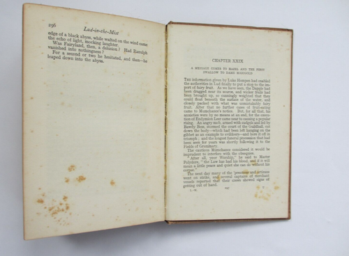 Hope Mirrlees. Lud-in-the-Mist. First edition, 1926 - Picture 7 of 7
