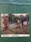 Caveman Color Movie Lobby Card Set of 8- Ringo Starr-Dennis Quaid-Nice-1981 — photo 9