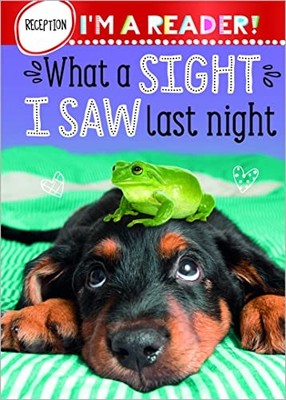 I'm a Reader! What A Sight I Saw Last Night (Reception: Ages 4+) Book The Fast