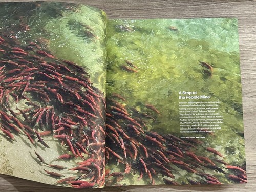 Patagonia Stores Authentic Catalog Book PICK & CHOOSE Spring 2023 Fall 2023 2022 - Imagen 24 de 33