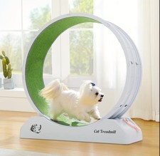Roue d'Exercice d'Entrainement Pour Chat et Chien Tapis Roulant