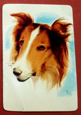 1 Single Vintage Swap Playing Card 1950's US Litho blank back Dog Collie