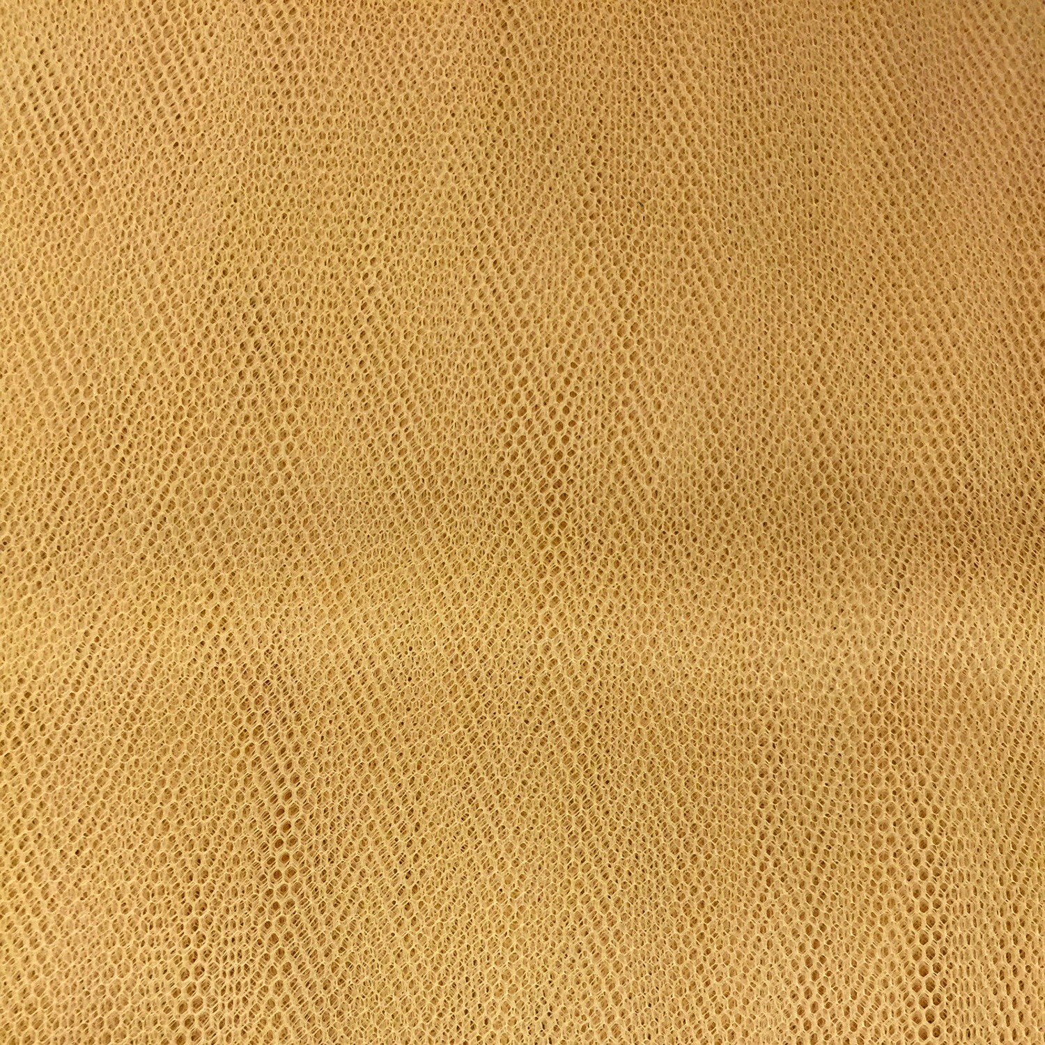 Picture 5 of 24