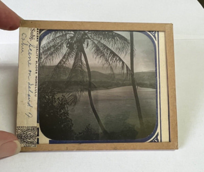 B&W Magic Lantern Slide A Scene from the Island of O'ahu Coconut Palm Over Bay
