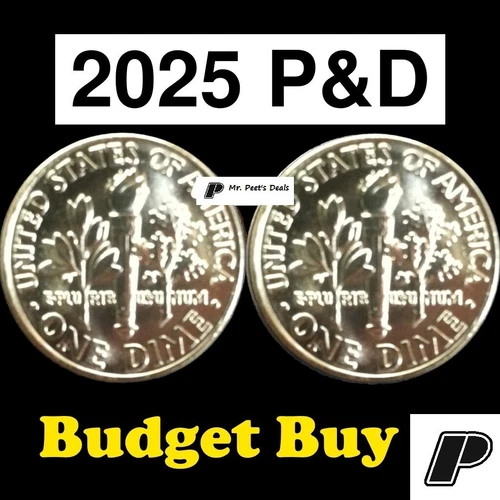 (2 Coins) 2025 P&D Roosevelt Dimes from Fed Rolls LOW BUDGET BUY 2NDs