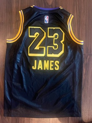 Lebron James LA Los Angeles Lakers Mamba City Swingman Jersey Size