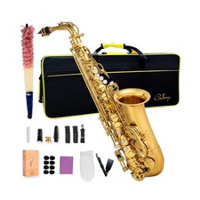 Alto Saxophone Eb beginner Saxophone includes brush canvas suitcase glove whi...