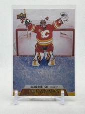 2020-21 Upper Deck Series 2 UD Canvas David Rittich #C134