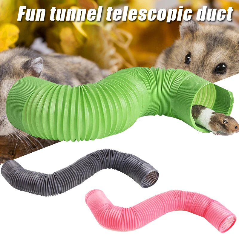 Guinea pig play toys cheap
