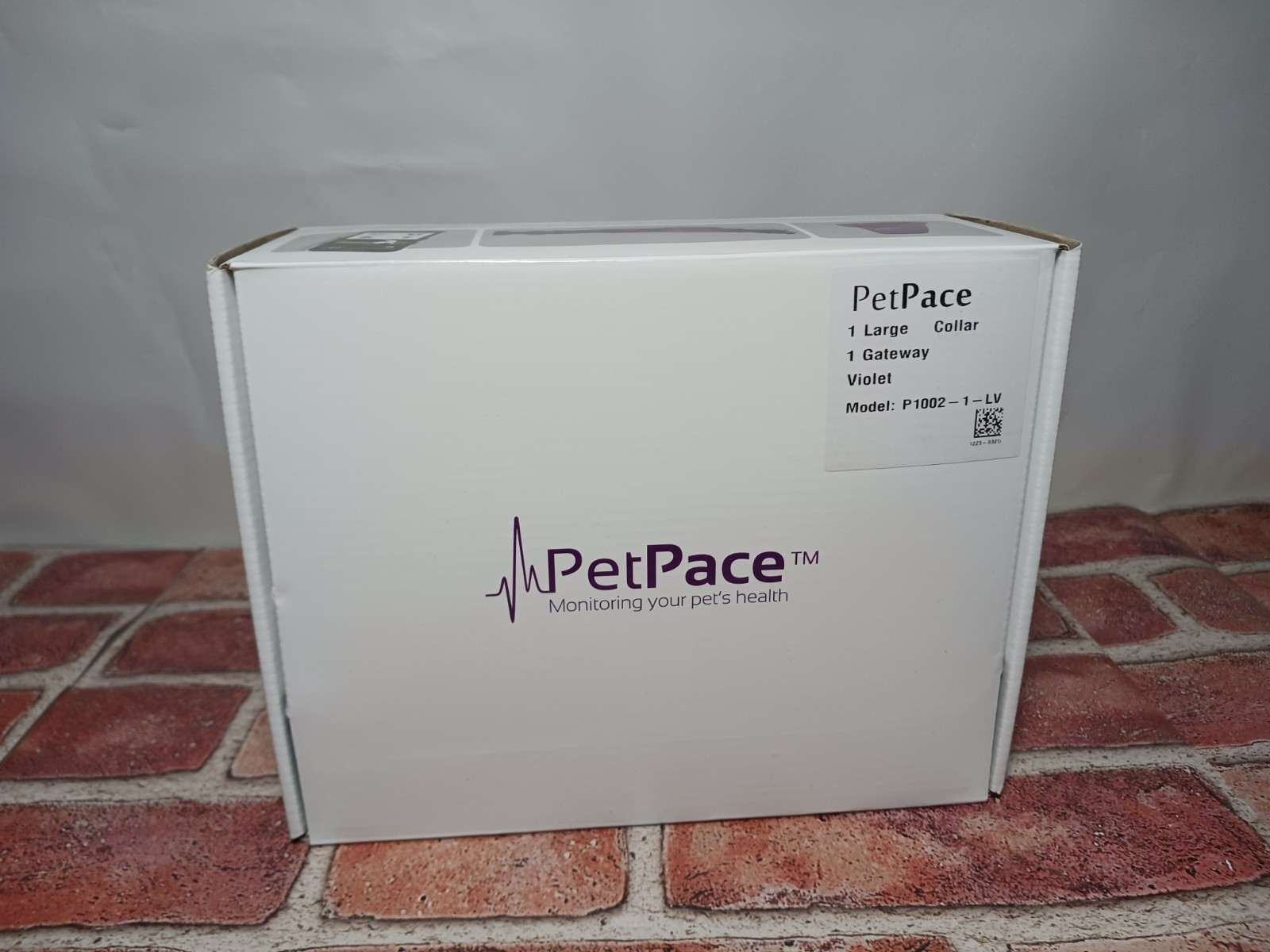 NEW PetPace Dog WiFi Health Monitoring Smart Collar P1002-1-LV Size Large Violet