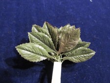 Vintage Millinery Flower 1" Leaf Green 24pc Bunch Doll Size Japan CC9b