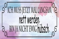 Holzschild 20X30 Cm Ich Muss Mal Langsam Nett Werden Deko Geschenk Schild
