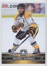 2014 ITG Draft Prospects Anthony DeAngelo #10 1k3