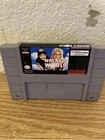 New ListingWayne's World SNES Game only