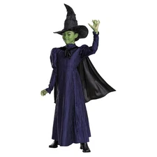 Girls Wicked Elphaba Dress With Cape & Hat Halloween Costume
