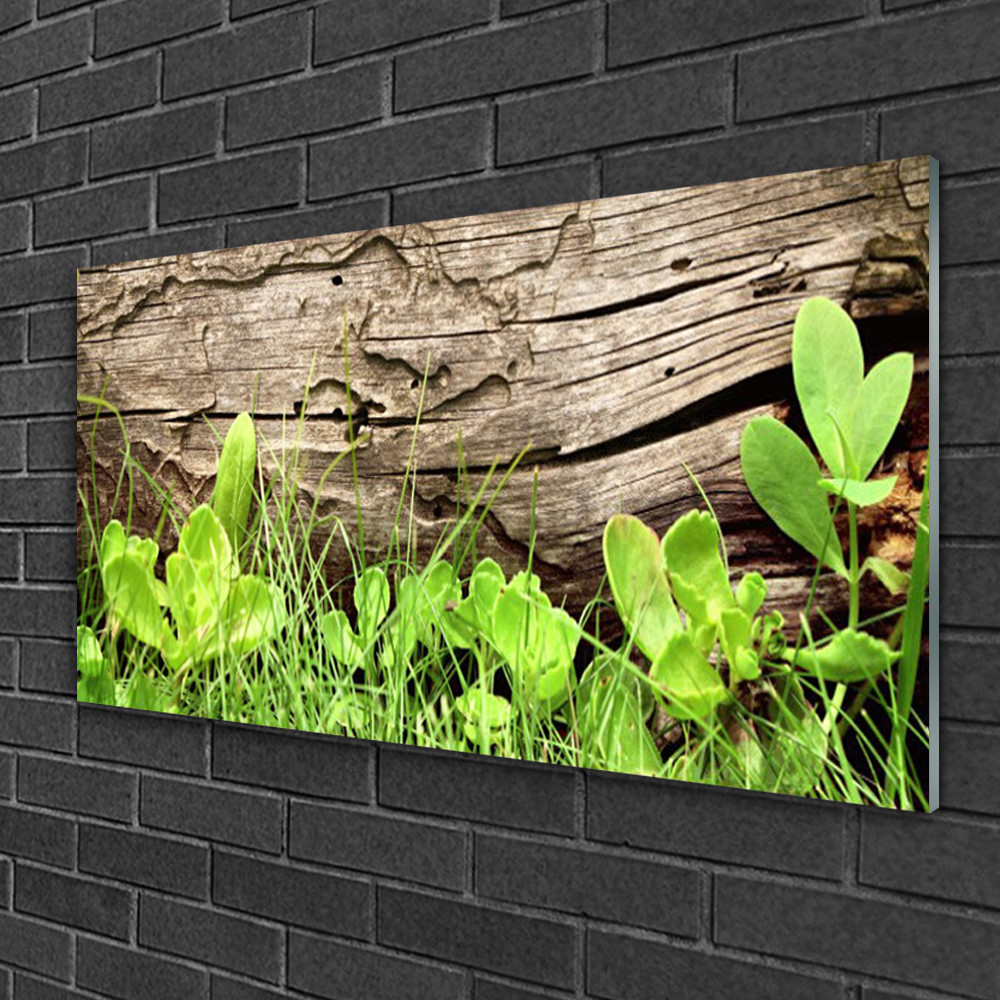 Tulup Image sur verre 100x50 - Tableau mural décoratif Feuilles Herbe