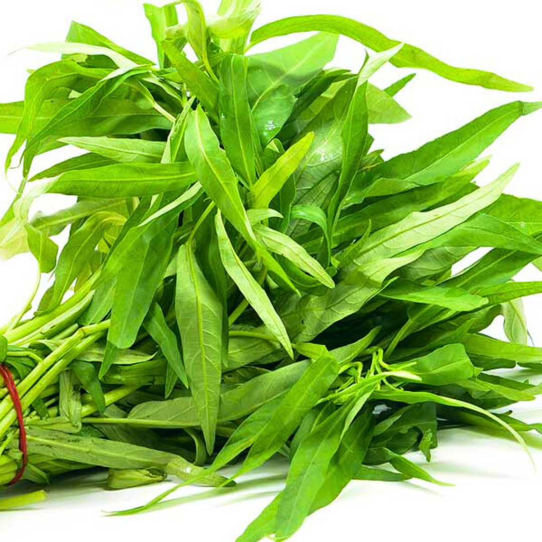 Fresh Water Spinach Seeds | Kangkong | Heirloom Non-GMO | Asian Vegetable Seeds