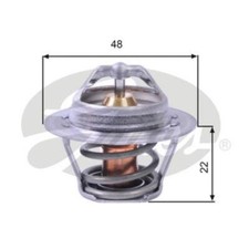 Thermostat Ford P 100