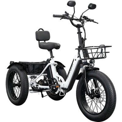 Remington R100 20 Zoll E Bike Dreirad Tiefeinstieg Elektrodreirad City Pedelec 