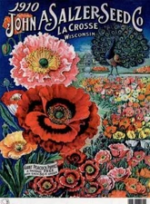 Salzer Seed Co Poppies | Rice Paper A4 | Calambour | 8.75" x 12.5" Decoupage