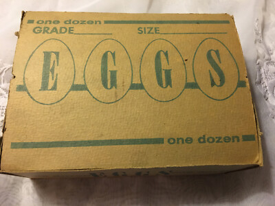 Vintage Cardboard Grade One Dozen Egg Box Carton Plastic Eggs Farm Container