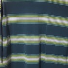 Nike Golf Tour Performance Dri-FIT Regular Fit Blue/Green Striped Logo Polo l — photo 5
