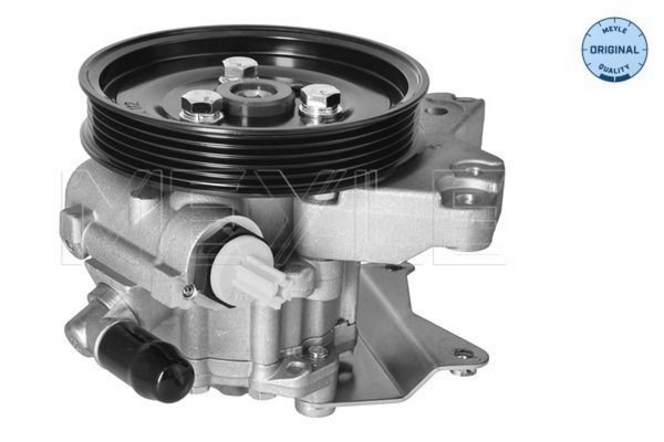 Hydraulikpumpe Lenkung FüR Land Rover Freelander I Soft Top-image