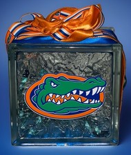 University Florida Gators Blue Lighted Glass Block With Ribbon Bow Tested Works