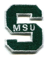 MICHIGAN STATE SPARTANS NCAA COLLEGE VINTAGE 1.75" LETTER TEAM PATCH