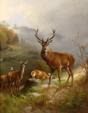 Wholesale oil painting beautiful wild animals deer in summer Hand painted art