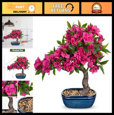 Artificial Bougainvillea Bonsai Tree 18.5" Silk Plant in Blue Pot - Home Office