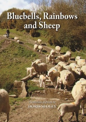 BLUEBELLS RAINBOWS & SHEEP by SLOLEY, DORIS Hardback Self Help Business