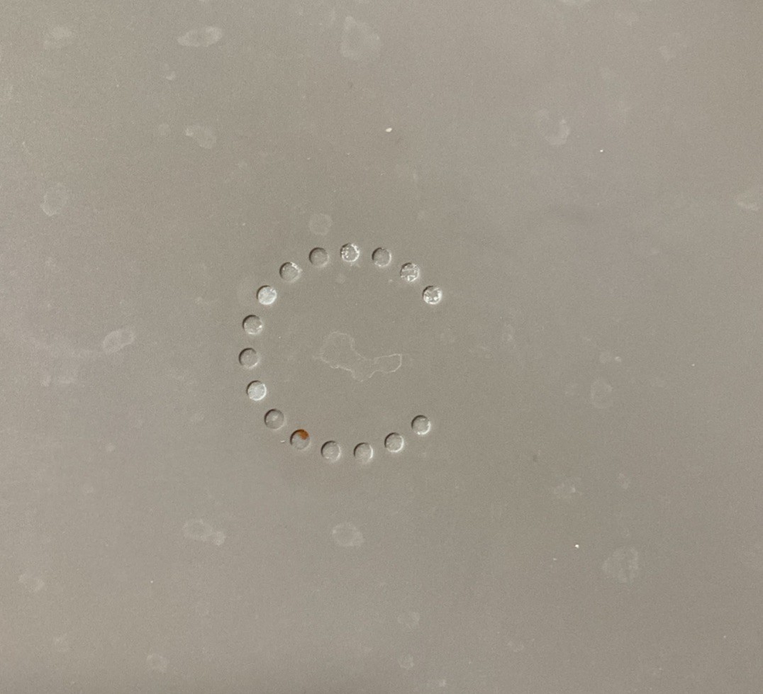 Curtis Stone Silicone Sheet Pan Divider    OPEN BOX/ Never Used.  Free Ship