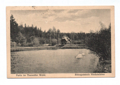 Ak Partie im Tharandter Walde Rittergutsteich Niederschöna 1943