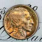 * 1913-D TYPE 1 * SUPERB+ GEM BU MS BUFFALO NICKEL * FROM ORIGINAL COLLECTION
