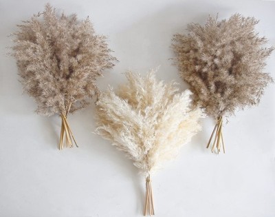 30 PCS Boho Decor Fluffy Pampas Grass - Natural Dried Short Pompas for Home & Ta