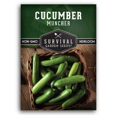 Muncher Cucumber Seeds for Planting | Burpless Variety with Smooth Skin for S...
